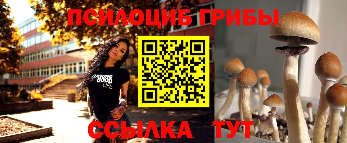 Галлюциногенные грибы Magic Shrooms Чита