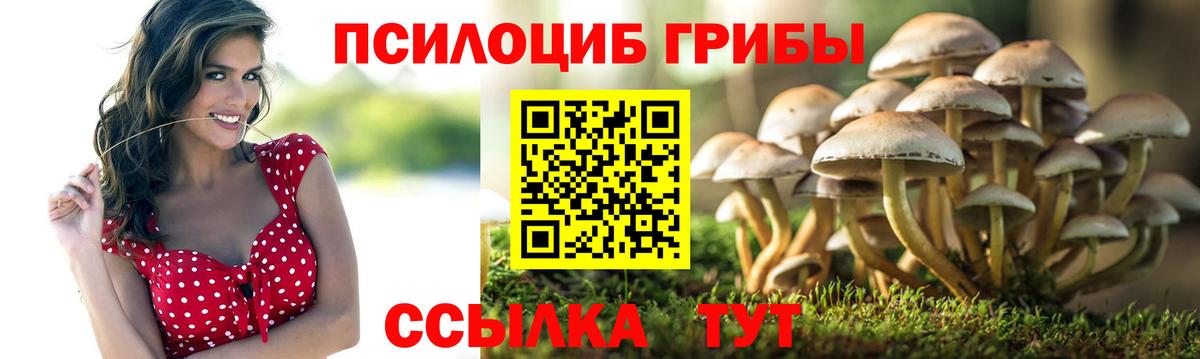 Псилоцибиновые грибы GOLDEN TEACHER  Псилоцибиновые грибы GOLDEN TEACHER  хочу   Вход с VPN  Чита 